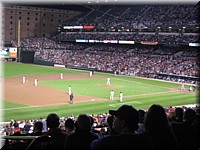 IMG_2992.jpg
