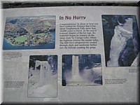 IMG_2547.jpg