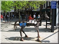 IMG_2560.jpg