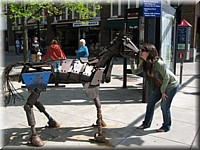 IMG_2561.jpg