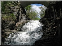 IMG_2570.jpg
