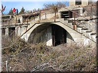 IMG_2449.jpg