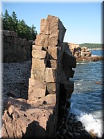 IMG_2892.jpg