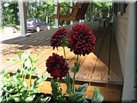 IMG_3905.jpg