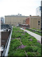 IMG_3722.jpg