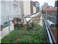 IMG_3723.jpg