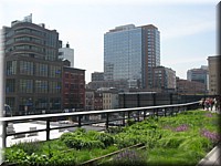 IMG_3726.jpg